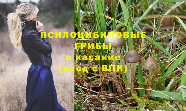 марки nbome Беломорск