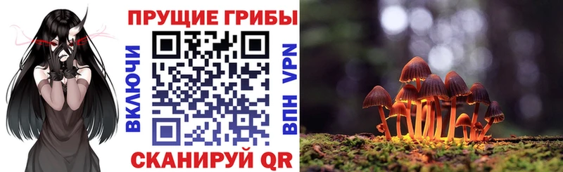 Псилоцибиновые грибы ЛСД  Дальнегорск 