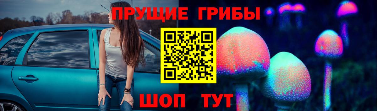 Дальнегорск  Псилоцибиновые грибы ЛСД  Вход с VPN 